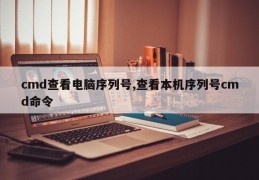 cmd查看电脑序列号,查看本机序列号cmd命令